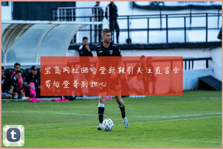 宝岛网红晒哈登新鞋引关注直言会寄给登哥别担心