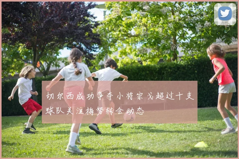 切尔西成功争夺小将宗戈超过十支球队关注梅努转会动态