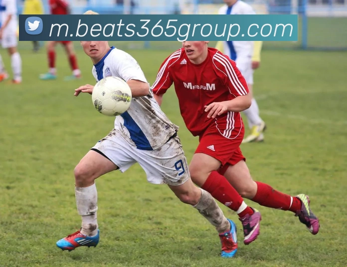 beats365体育APP 封面图